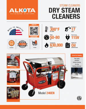 Dry Steam 246EN Brochure PDF